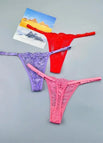 Red Purple Rose / XL / 3pcs
