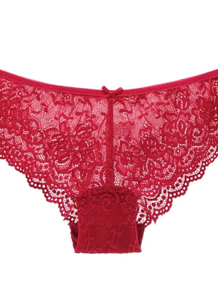 Sexy Full Lace Transparent Panties (3pcs)