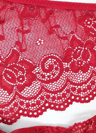 Sexy Full Lace Transparent Panties (3pcs)