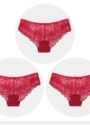 Sexy Full Lace Transparent Panties (3pcs)
