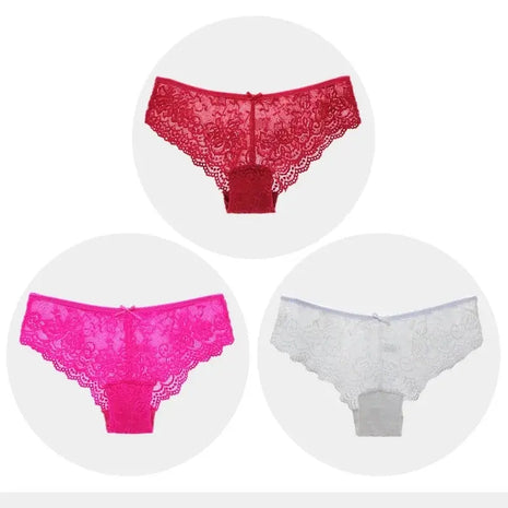 Sexy Full Lace Transparent Panties (3pcs)