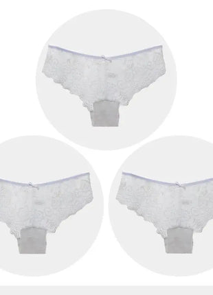 Sexy Full Lace Transparent Panties (3pcs)